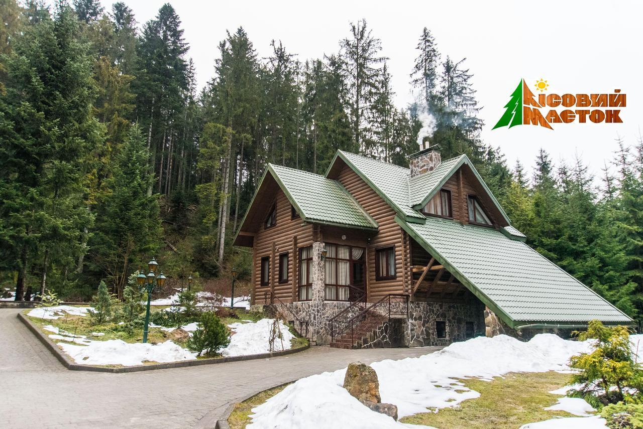 Лісовий Маєток Slavske Quarto foto